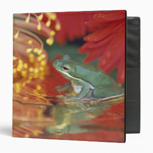 Frog and reflections among flowers. Credit as: Binder