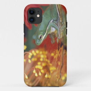 Frog and reflections among flowers. Credit as: iPhone 11 Case