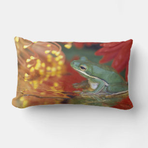 Frog and reflections among flowers. Credit as: Lumbar Pillow