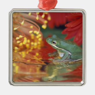 Frog and reflections among flowers. Credit as: Metal Ornament