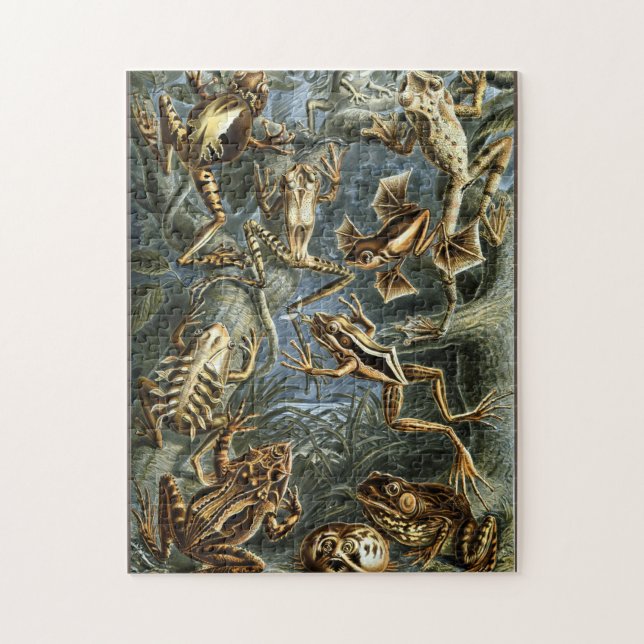 Frog and toad Ernst Haeckel vintage Jigsaw Puzzle (Vertical)