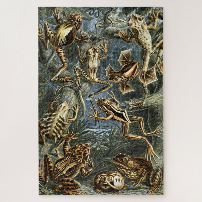 Frog and toad Ernst Haeckel vintage Jigsaw Puzzle (Vertical)