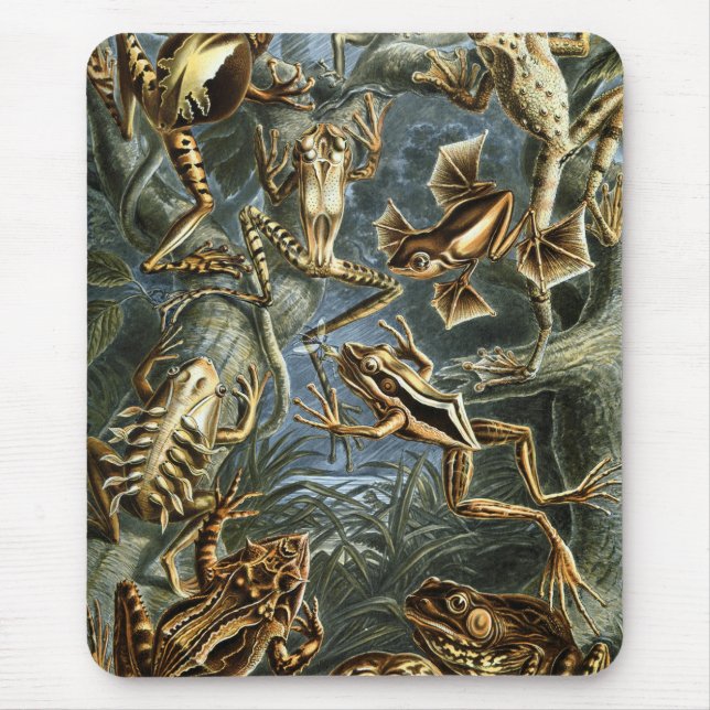 Frog and toad Ernst Haeckel vintage Mouse Pad (Front)
