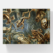 Frog and toad Ernst Haeckel vintage