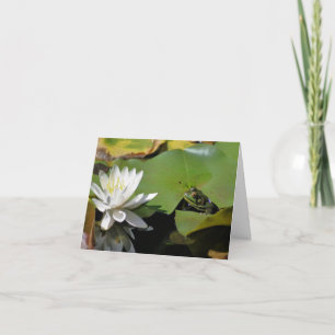 Frog And Water Lily Lotus Flower Photography  Note Card
