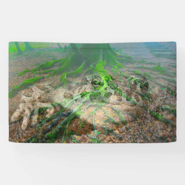 Frog Banner (Horizontal)