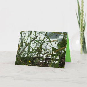 Frog Birthday Greeting Card