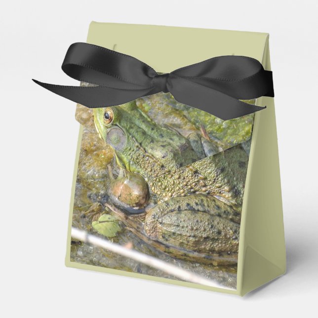Frog Birthday Party Kids Boy Animal Favor Box (Front Side)