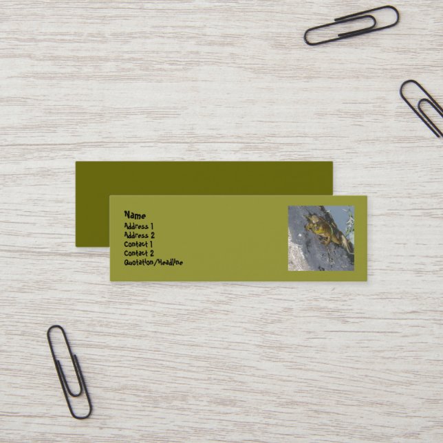 Frog Business Cards (Front/Back In Situ)