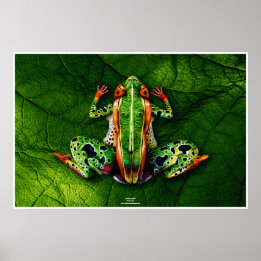 Frog by Johannes Stötter Poster