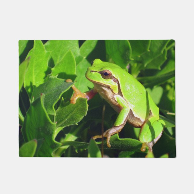 Frog Door Mat (Front)