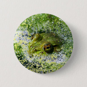 Frog Eyes 2 Inch Round Button