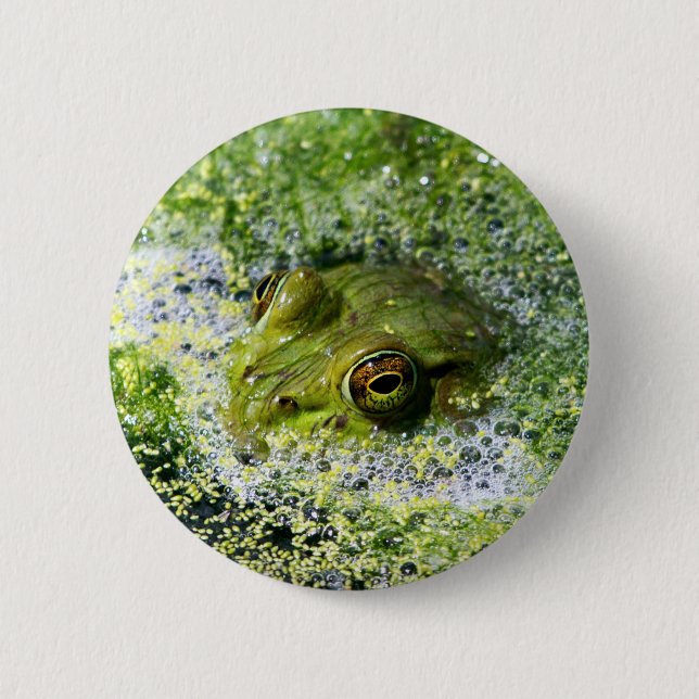 Frog Eyes 2 Inch Round Button (Front)