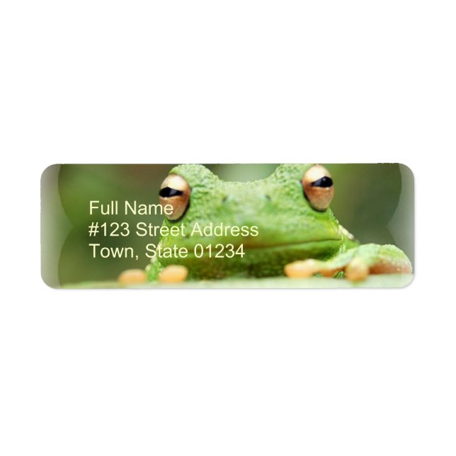 Frog Eyes Return Address Label (Front)