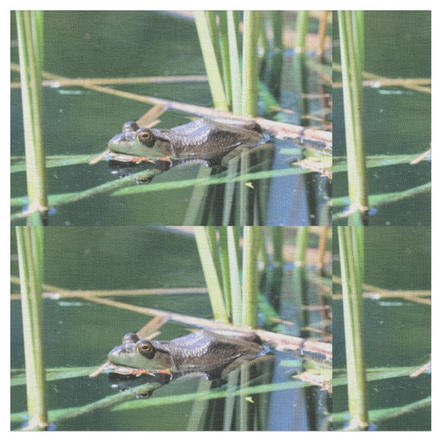 Frog Fabric (Close Up)