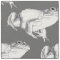 Frog Fabric Bullfrog Art Pattern Fabrics