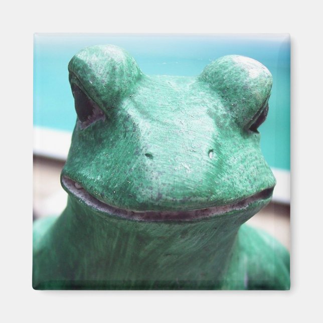 Frog Face Magnet (Front)