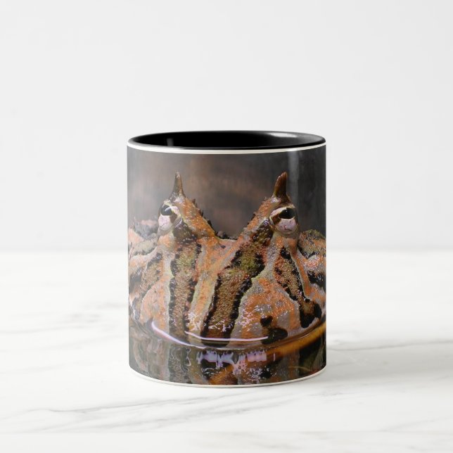 Frog Face Two-Tone Coffee Mug (Center)