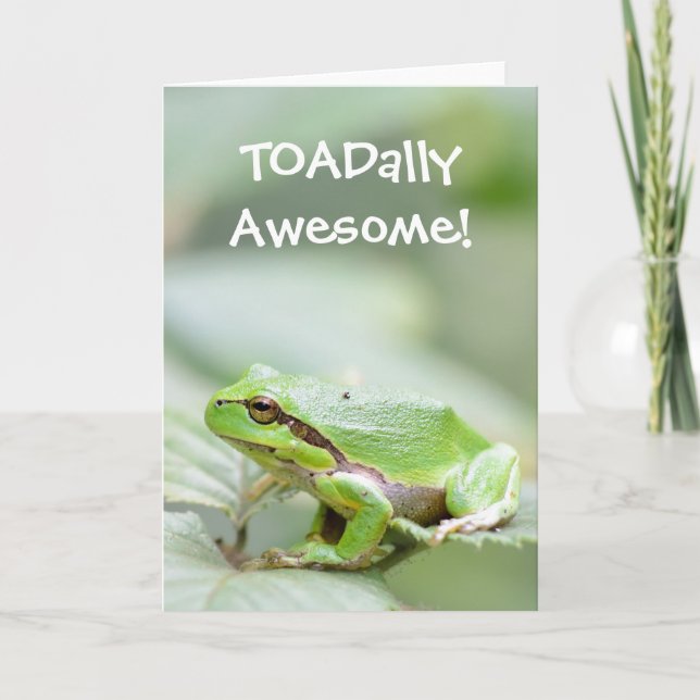 Frog greeting card with the text TOADally Awesome (Front)