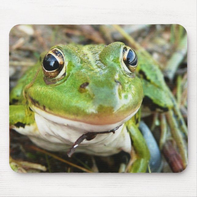 Frog Images Mouse Pad (Front)