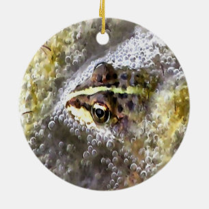 Frog Immersed In Water Bubbles and Frogspawn Ceramic Ornament