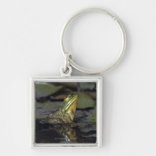 Frog in a pond keychain