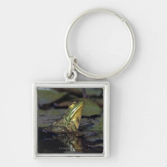 Frog in a pond keychain (Front)