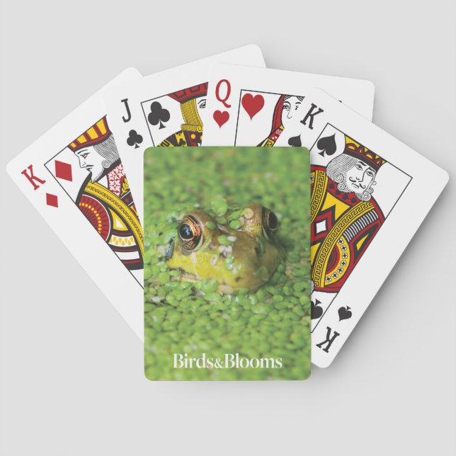 Frog in Green Algae Playing Cards (Back)