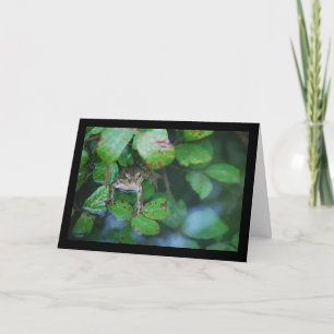 Frog in Leafy Pond Card