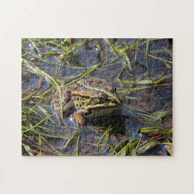 Frog in river jigsaw puzzle (Horizontal)