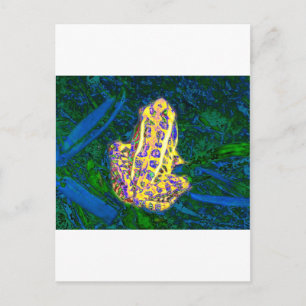 Frog in the Grass Postcard