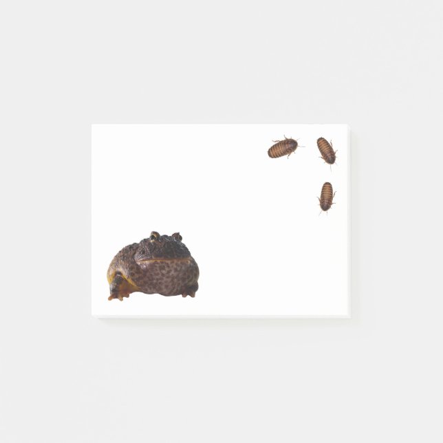 Frog-it Post-it Notes (Front)