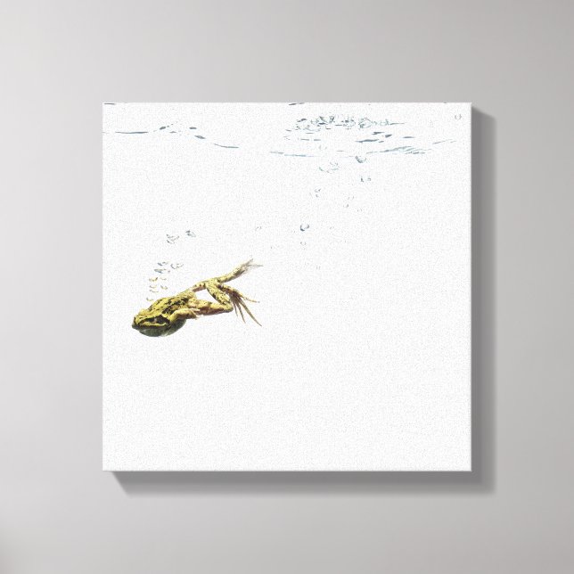 frog jumping and diving into the water canvas print (Front)