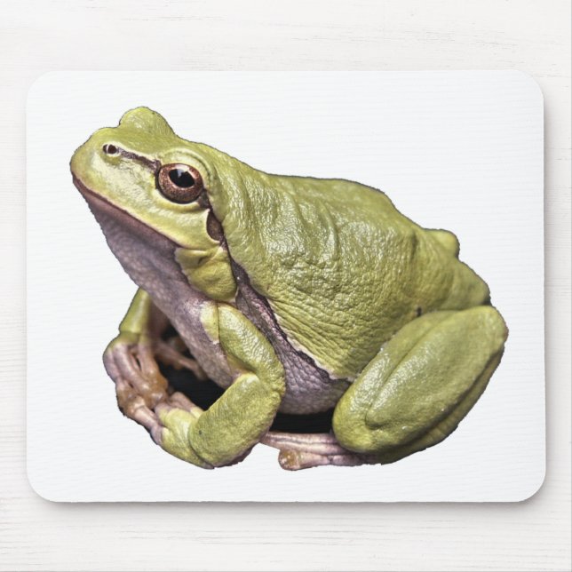 Frog Mouse Pad (Front)