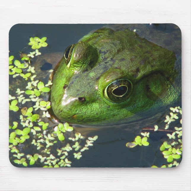 Frog Mousepad (Front)