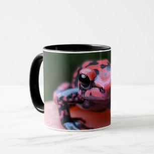Frog Mug