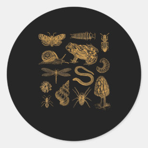 Frog Mushroom Moth Vintage Lover Goblincore Aesthe Classic Round Sticker