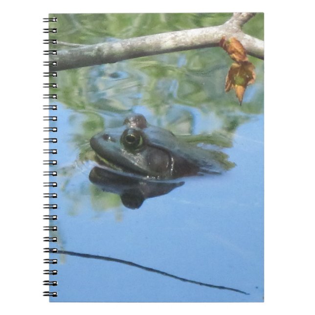 Frog Notebook (Front)