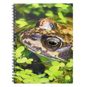 FROG NOTEBOOK