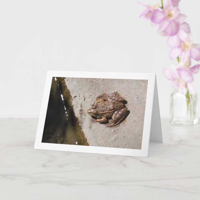 Frog on a Ledge Card (Orchid)
