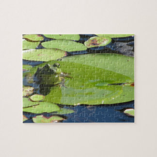 Frog on a Lily Pad Puzzle
