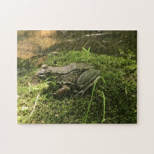 Frog on a Mossy Rock Photo Green and Brown Jigsaw Puzzle (Horizontal)