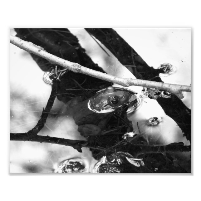 Frog Photo BW (Front)