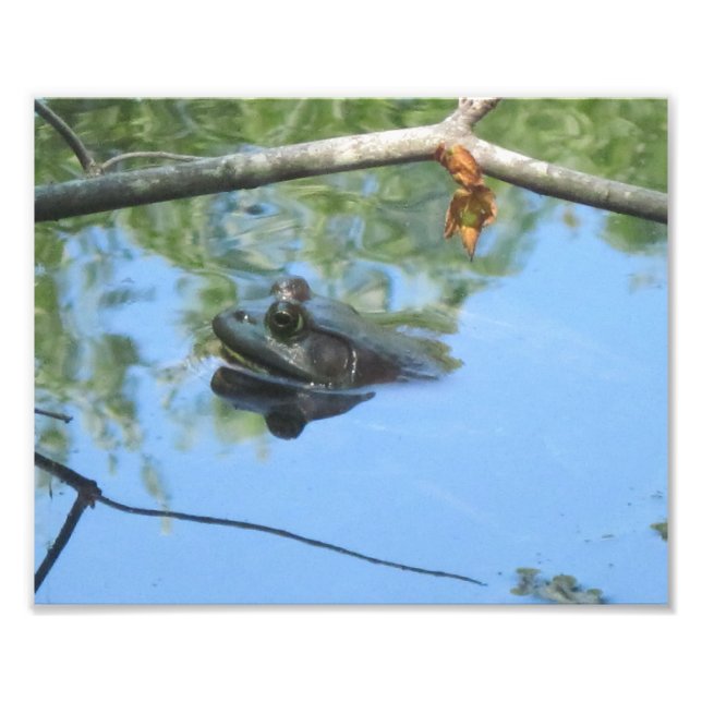 Frog Photo Print (Front)