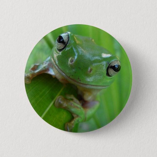 Frog Pin (Front)