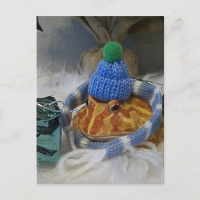 Frog Postcard (Front)