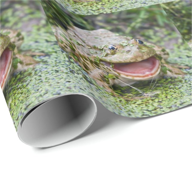 Frog Prince Wrapping Paper (Roll Corner)