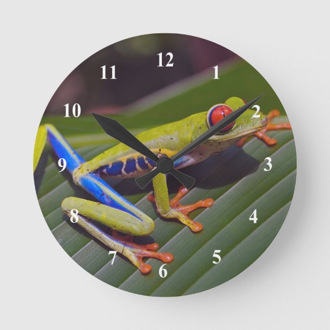 Frog Red Eye Photo Round Clock (Front)