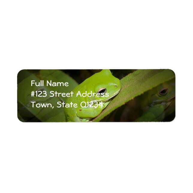 Frog Reflections Return Address Label (Front)