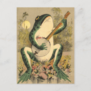 Frog Serenade Postcard